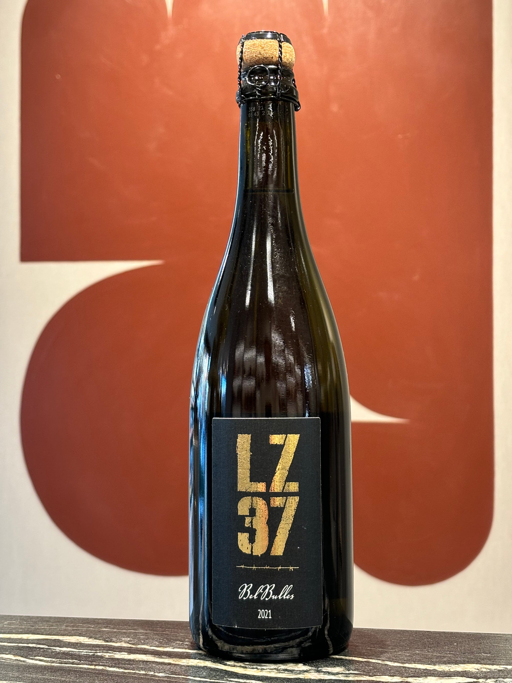 LZ 37 Het verhaal Brut