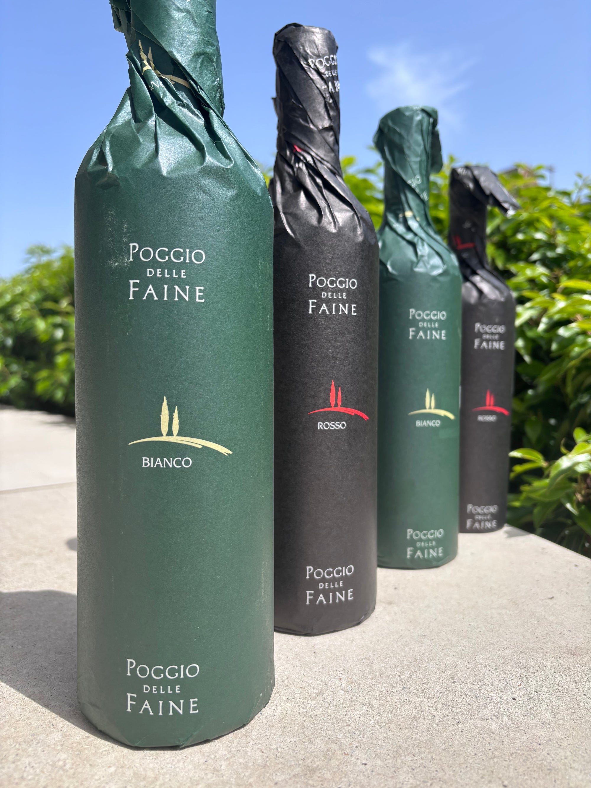 POGGIO DELLE FAINE Chardonnay - Siena